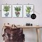 Stupell Industries Traditional House Plant Vases 3pc Canvas Wall Art Set Design by Fab Funky